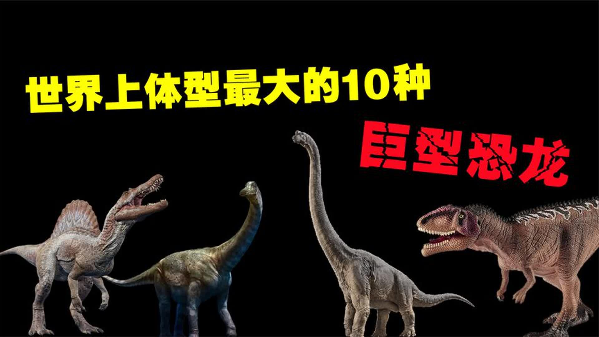 史前最大的恐龙