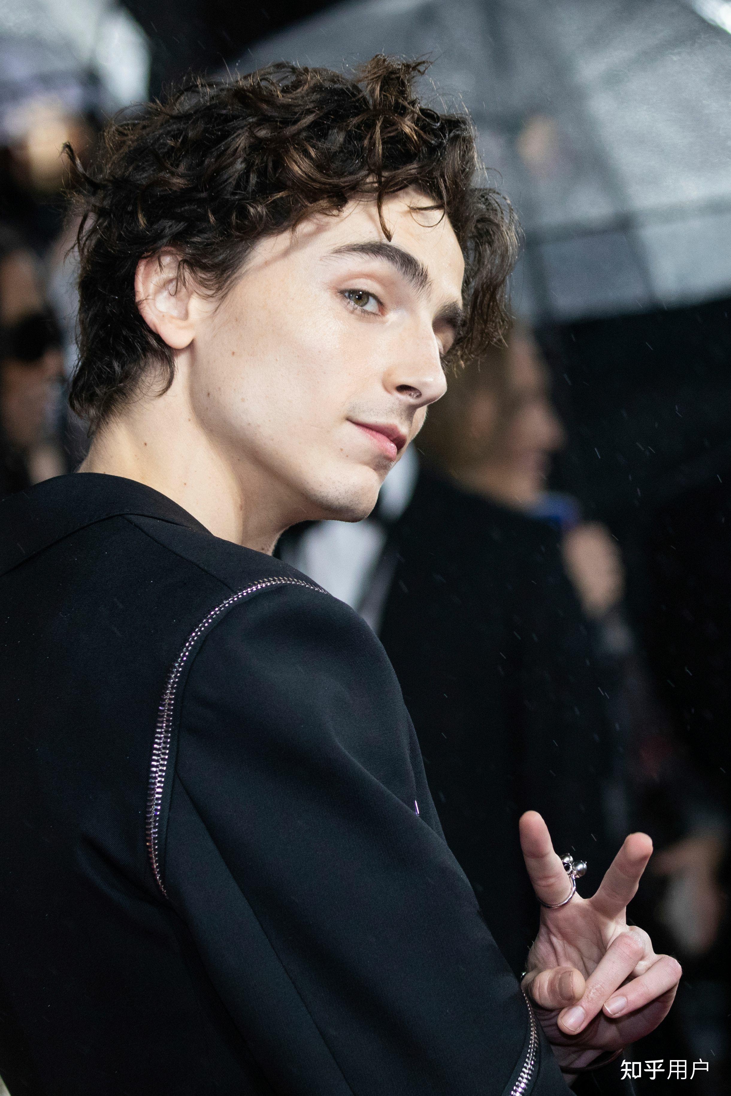 如何评价甜茶提莫西查拉梅timothéechalamet的长相