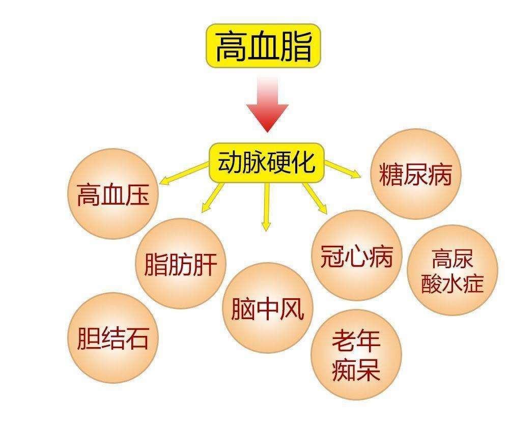 什么是高血脂,为什么血脂会变高? - 知乎