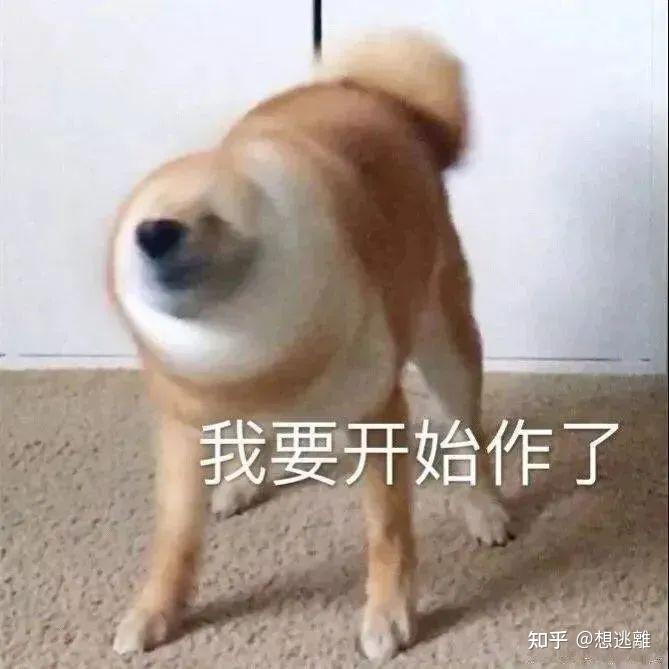 奇怪的搞笑必备表情包又增加了~ - 知乎