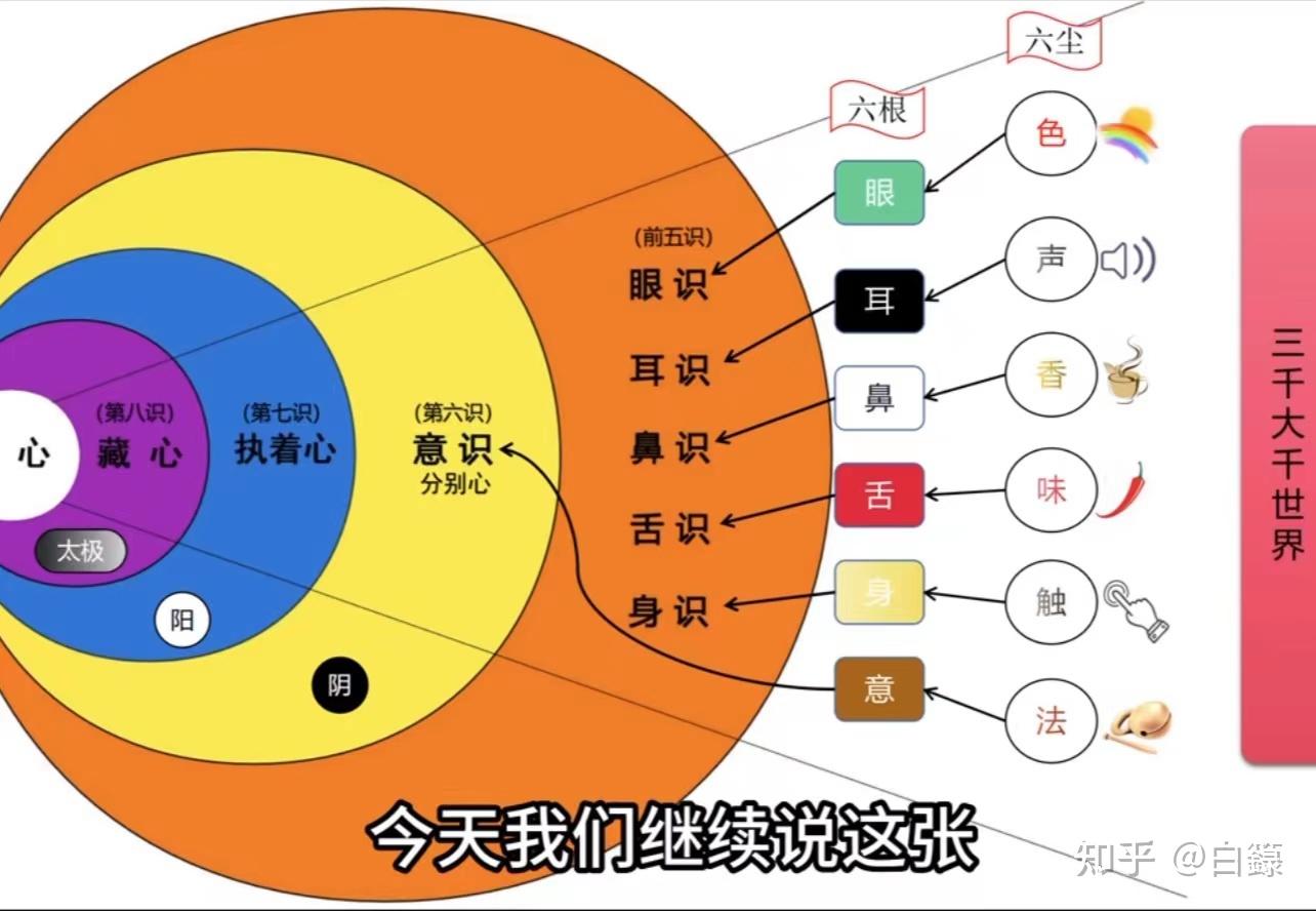 八美图每个人分析图片