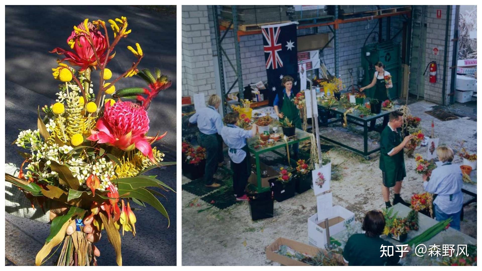 历届奥运会的花束图片?