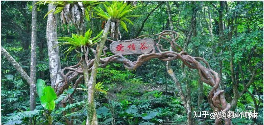 海南琼中黎族苗族自治县:一个历史悠久、文化底蕴深厚的地方 - 知乎
