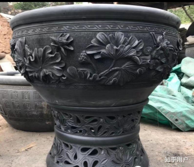 碗莲怎么水培?(水培碗莲种植方法图解)