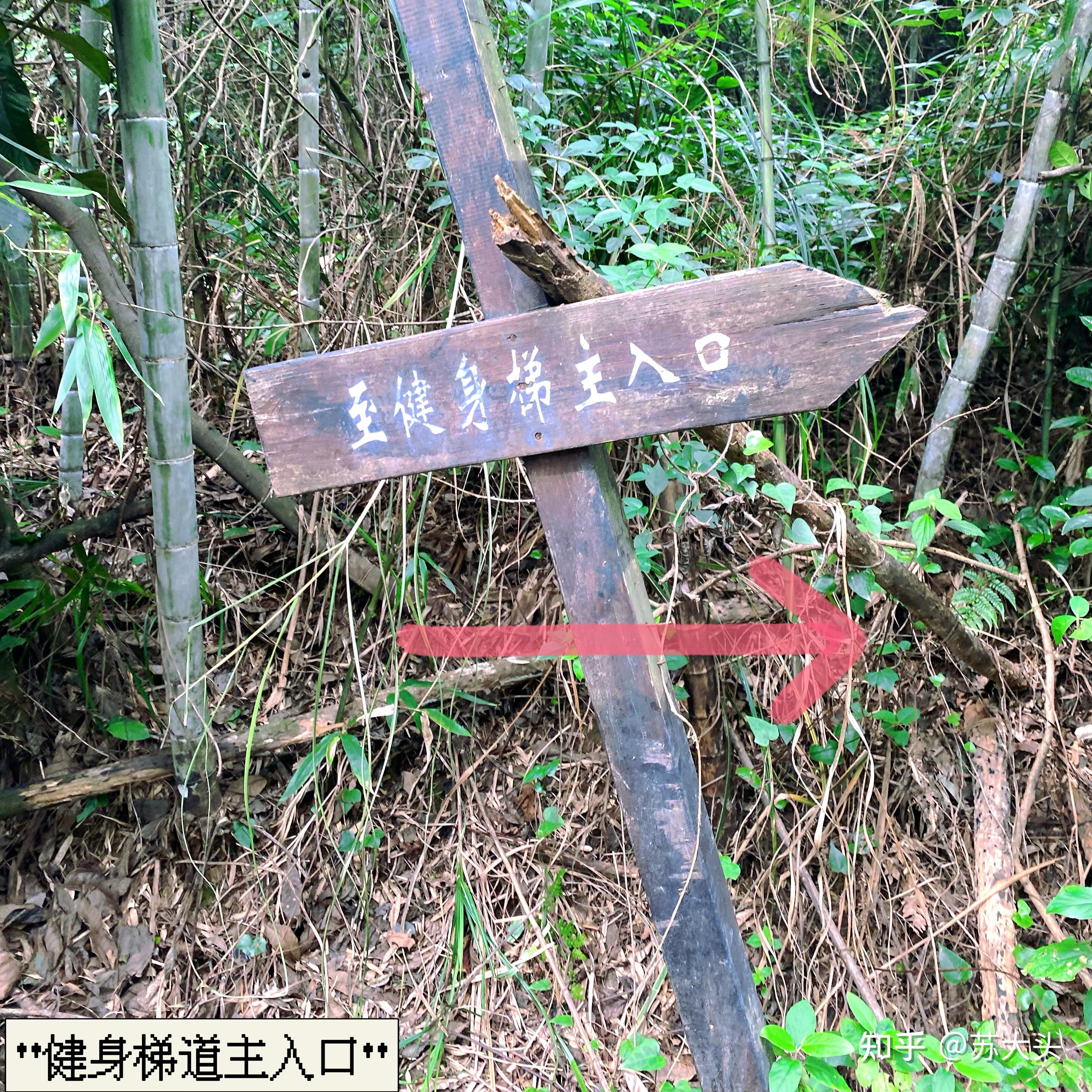 重庆徒步爬山圣地：缙云山免门票上山详细路线指引 - 知乎