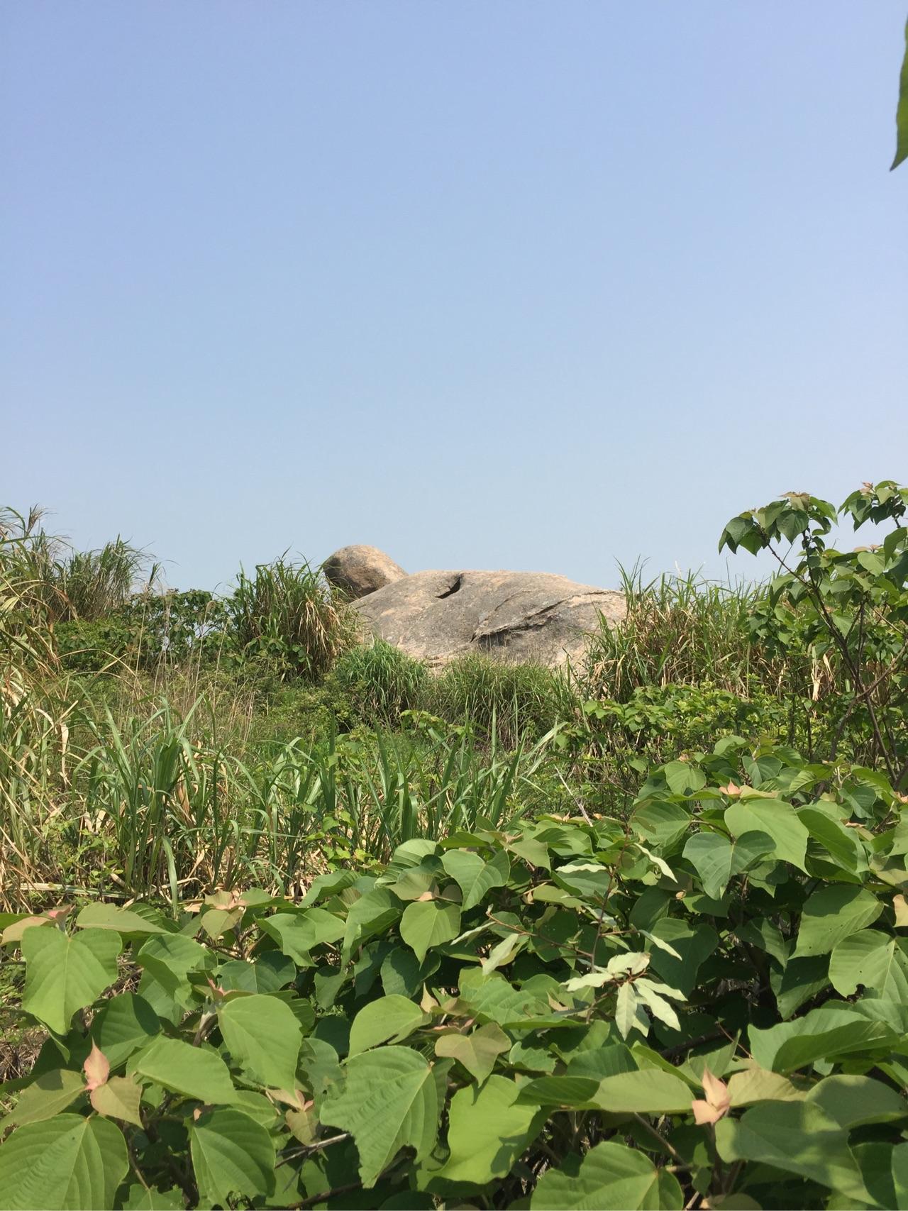 上海小洋山可以玩什么