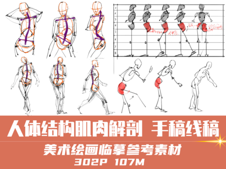 100套绘画资源,超10万张素材!毕生私藏公开分享! - 知乎