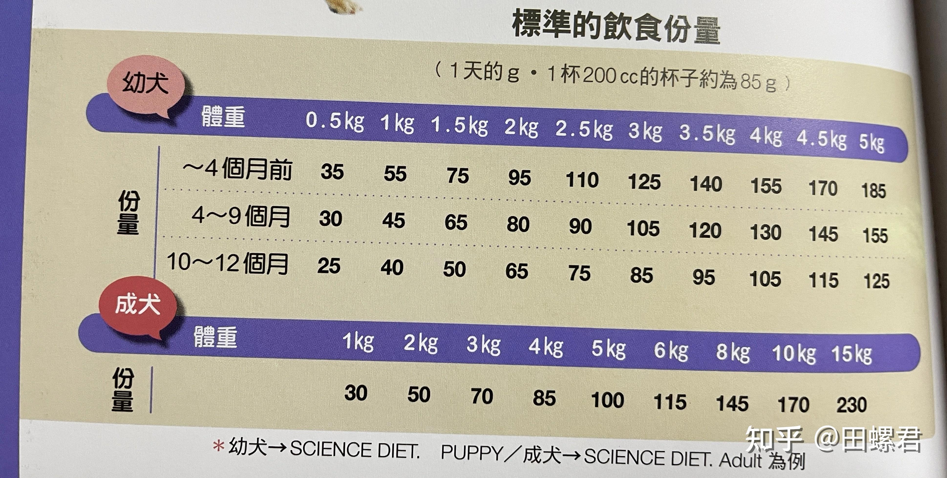 您家柴犬饭量大吗