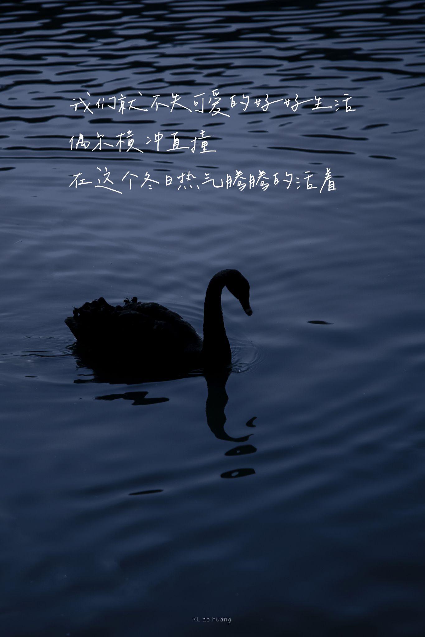 可以在这里坚持每天分享一句话或者一张照片吗