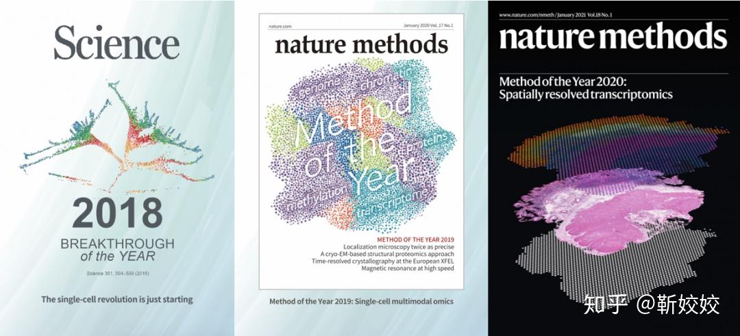 “空间转录组技术”被Nature Methods评为2020年年度技术！ - 知乎