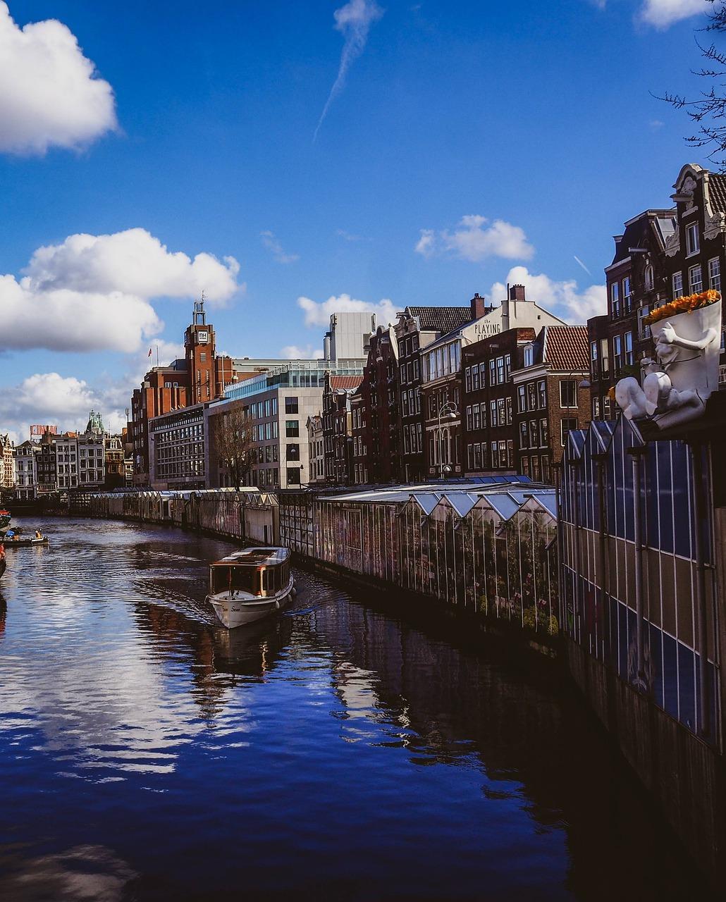 缤纷盆栽如何网上定货