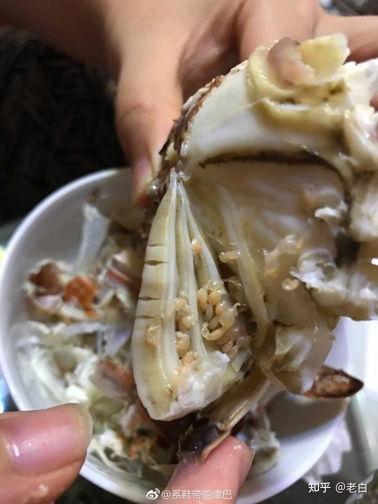 吃螃蟹上面这个白白的是什么? - 知乎