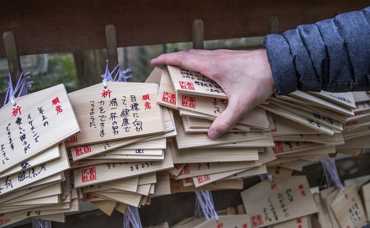 感谢的启蒙导师