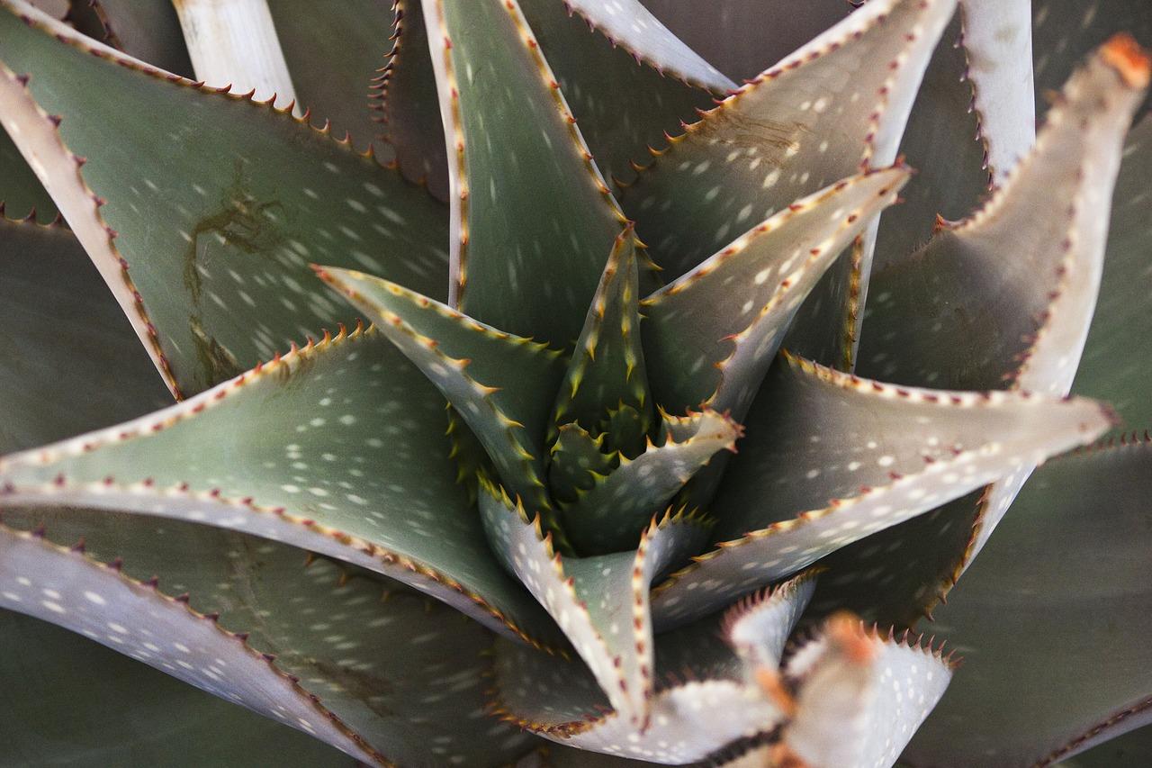 4. 微量元素补充