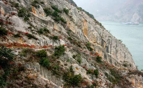 盘点中国5大古栈道，悬空凿壁，古人的奇迹之作！你敢不敢来挑战？ - 知乎