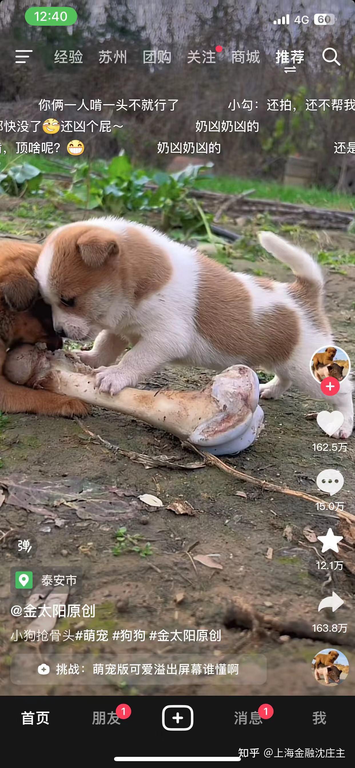 你见过什么看一遍就忍不住笑的图片