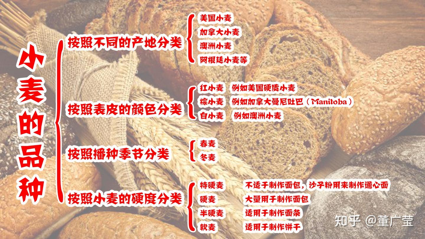 一文读懂小麦的种类,面粉的特性以及分类,制作某种西点用哪种面粉 - 知乎