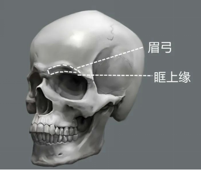 美学分享 | 高眉弓≠好看眉弓,2025最全的眉弓攻略来啦! - 知乎