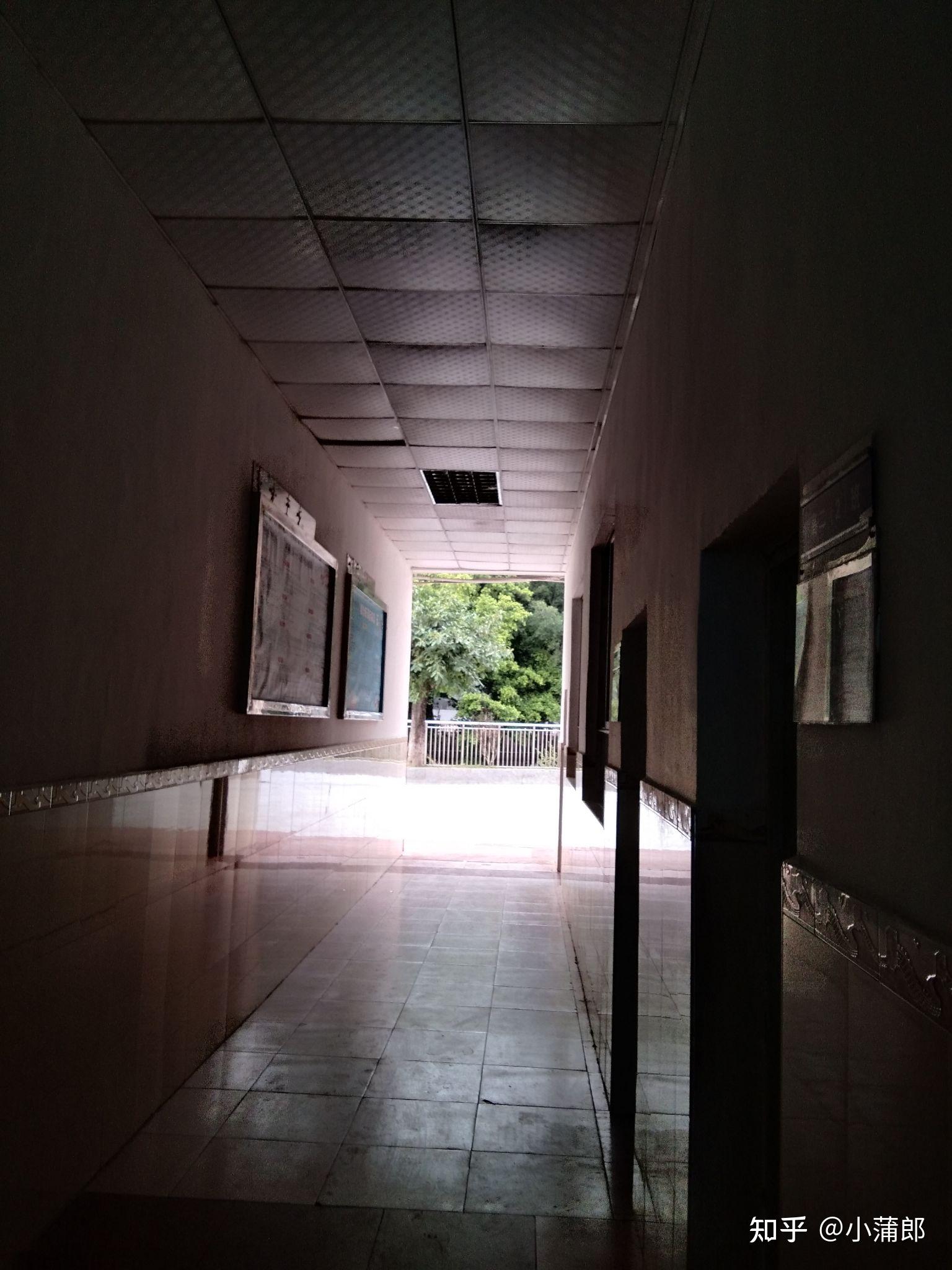 深圳康桥书院怎么样?环境学风?