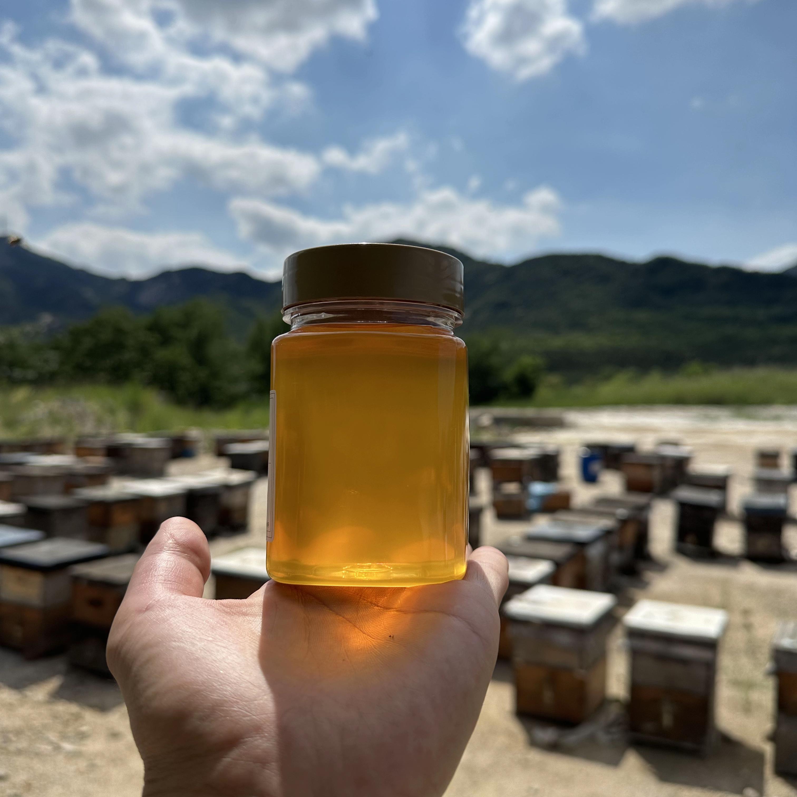 蜂蜜会不会增加血糖(蜂蜜会增加血糖吗) 蜂蜜会不会增加血糖(蜂蜜会增加血糖吗)