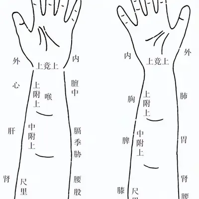 《黄帝内经》中的神奇诊法-诊尺肤