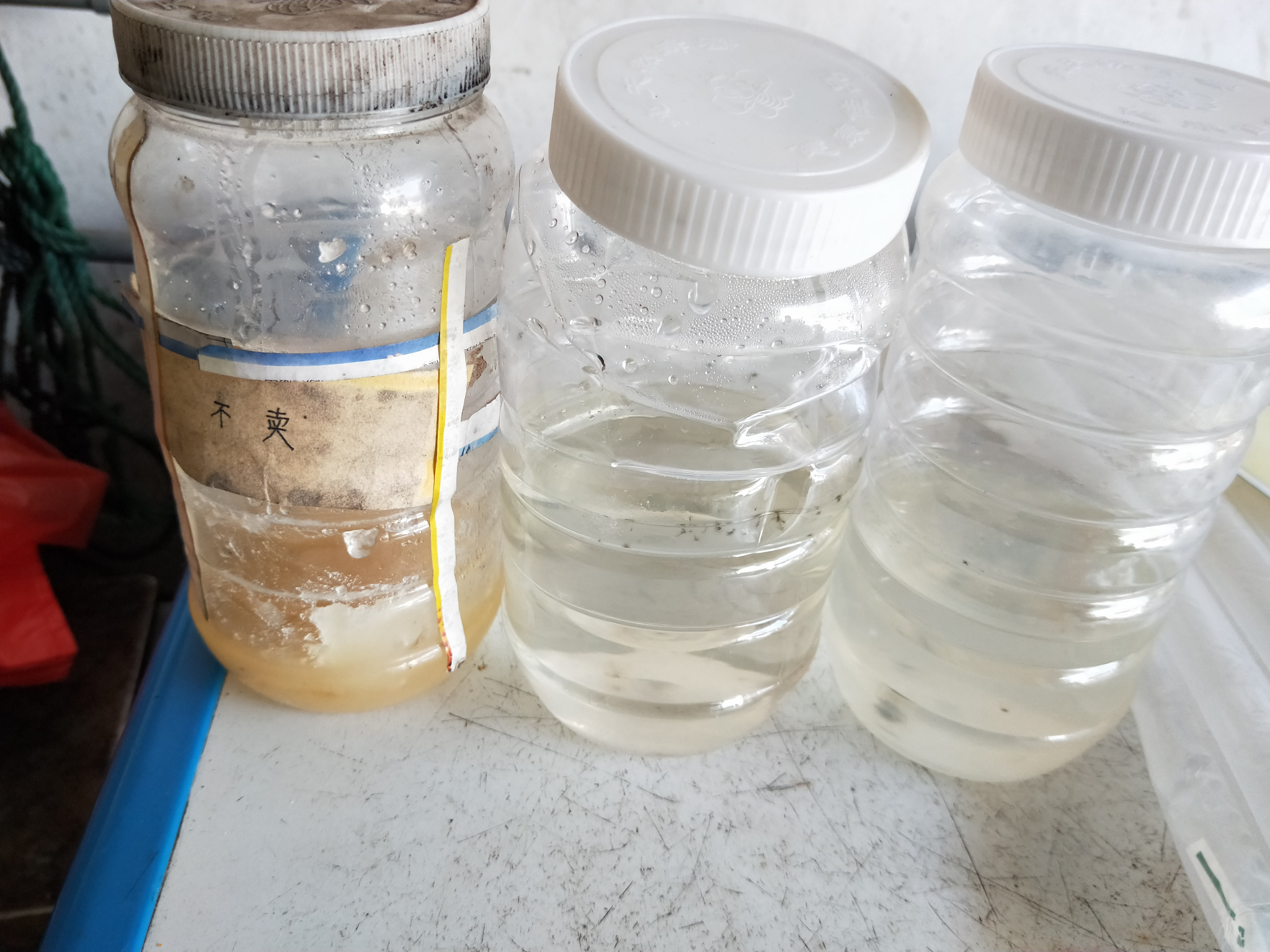 蜂蜜结晶还能恢复吗知乎(蜂蜜结晶还能喝吗 恢复 化开)