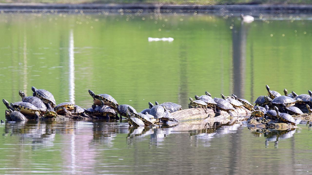 如何使家里变暖和