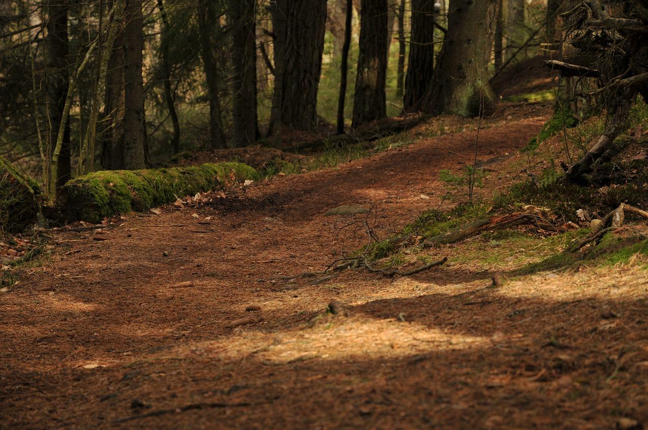 5. 清洗后消毒技巧