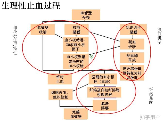 根據凝血纖溶原理及其生理性調控機制試分析哪些原因可引起出血性疾病