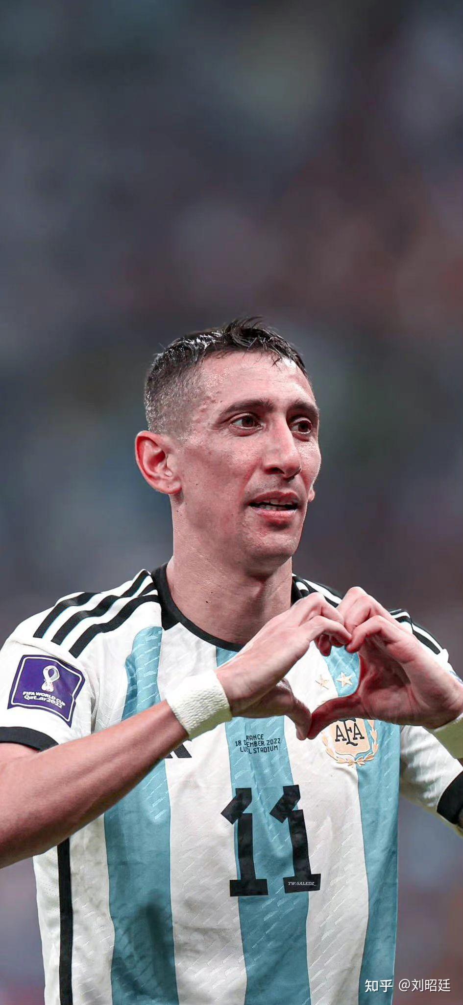 如何评价迪马利亚? - 知乎