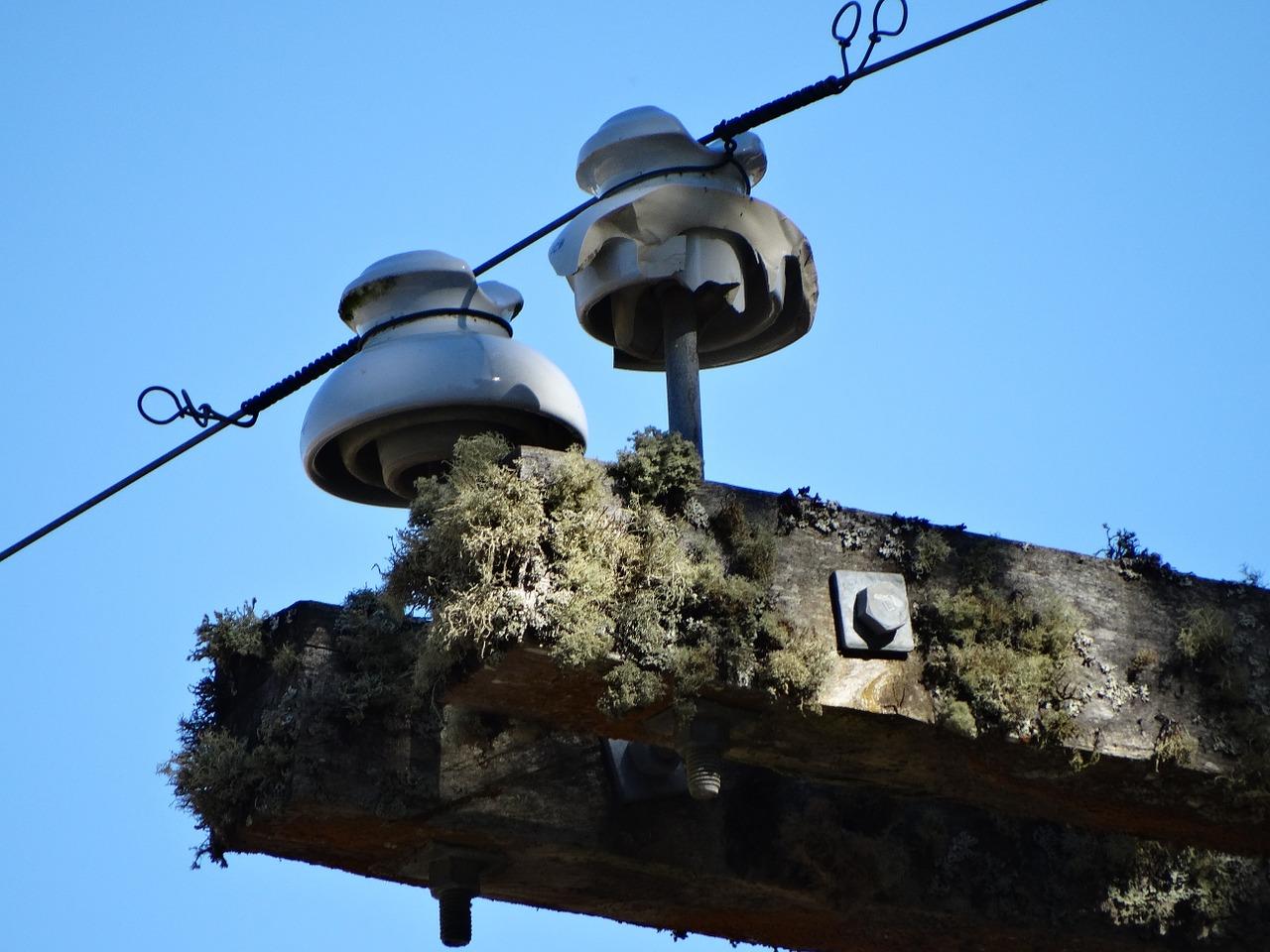 玻利维亚什么插头