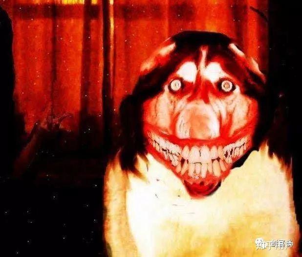 微笑的狗恐怖原图图片