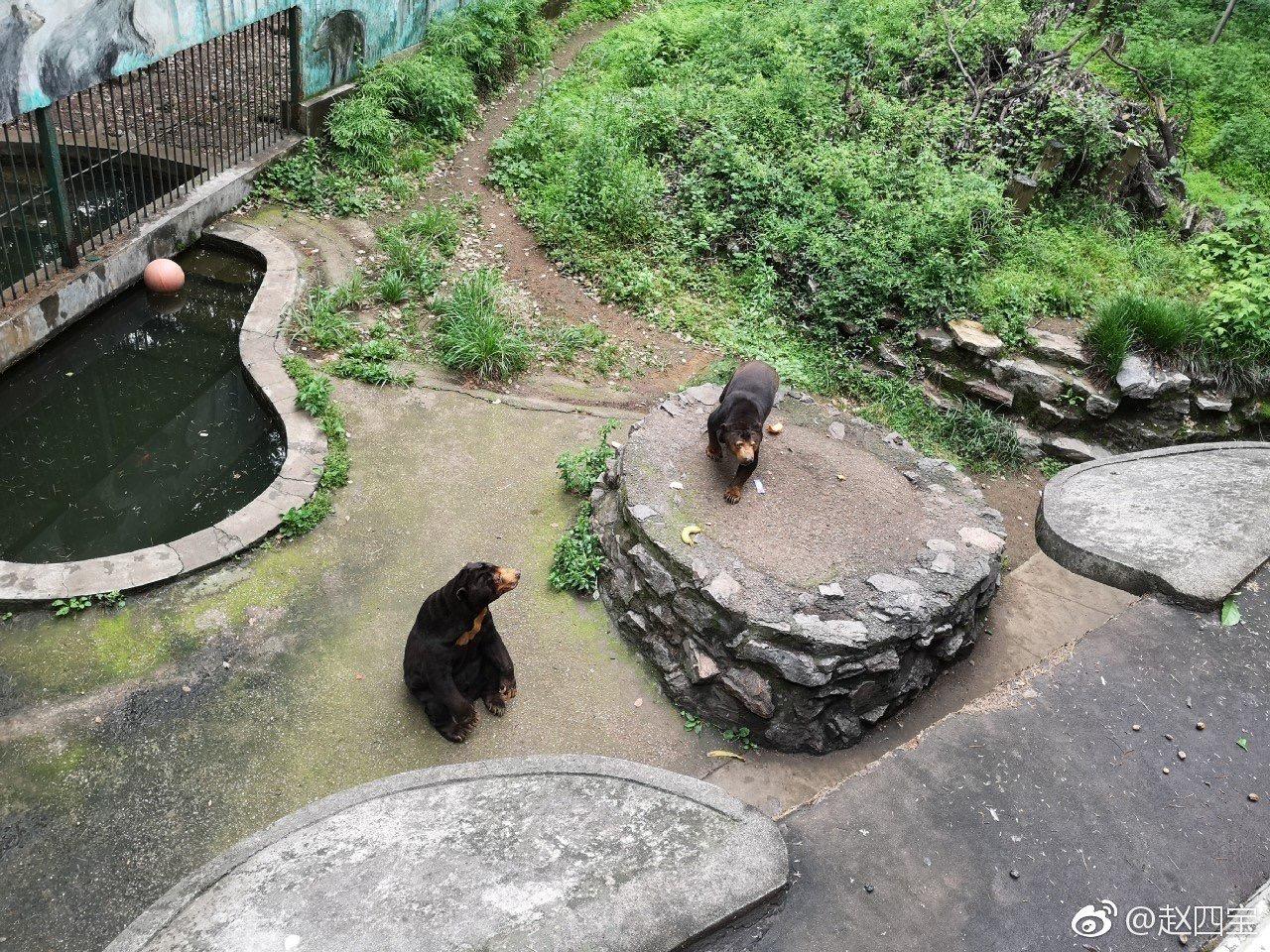 如何看待 2020 年南京红山动物园疫期亏损 3000 万,国内其它动物园