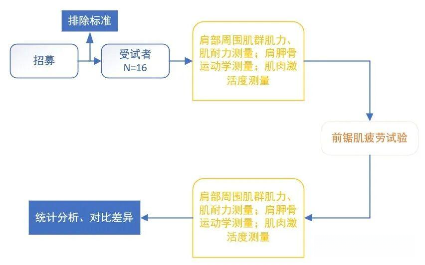前锯肌与肩胛骨运动功能障碍 - 知乎