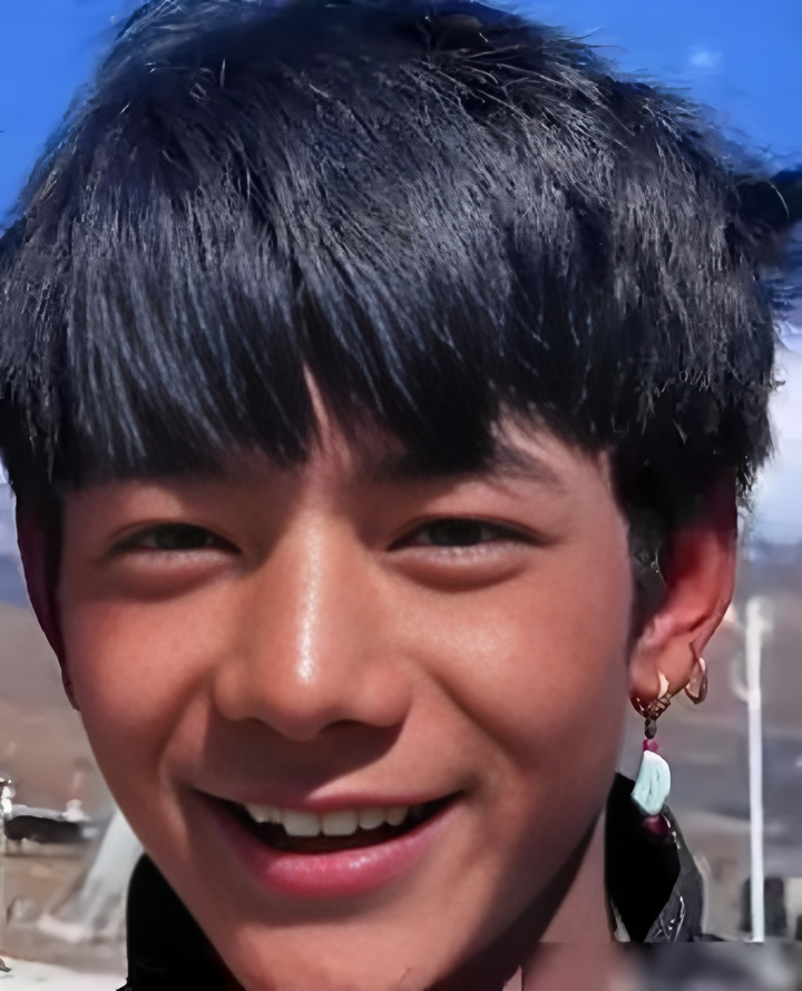 丁真:从雪山少年到公益实干派的华丽转身 - 知乎