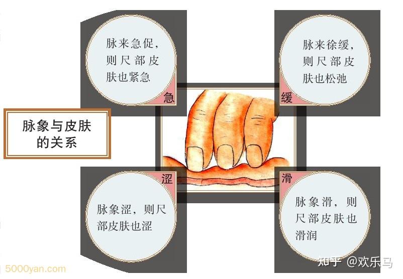 邪气脏腑病形:邪气对脏腑的侵袭 - 知乎