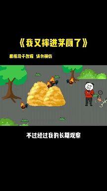 知乎- 知乎