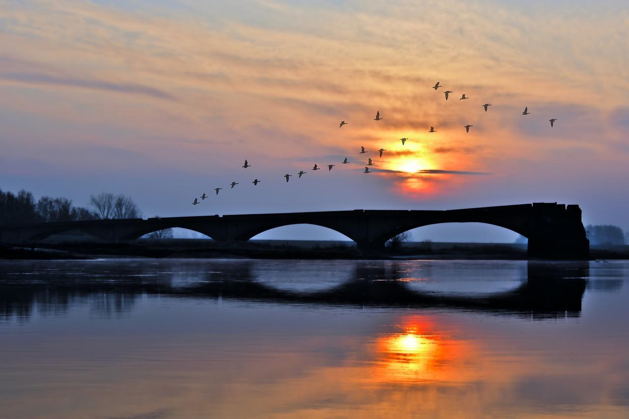 明月大桥户型亮点