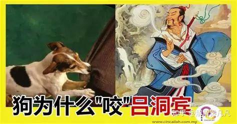 狗咬呂洞賓不識好人心  獅子山下俗語漫談