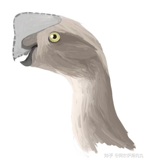 为什么大众仍然不接受鸟类源于恐龙？