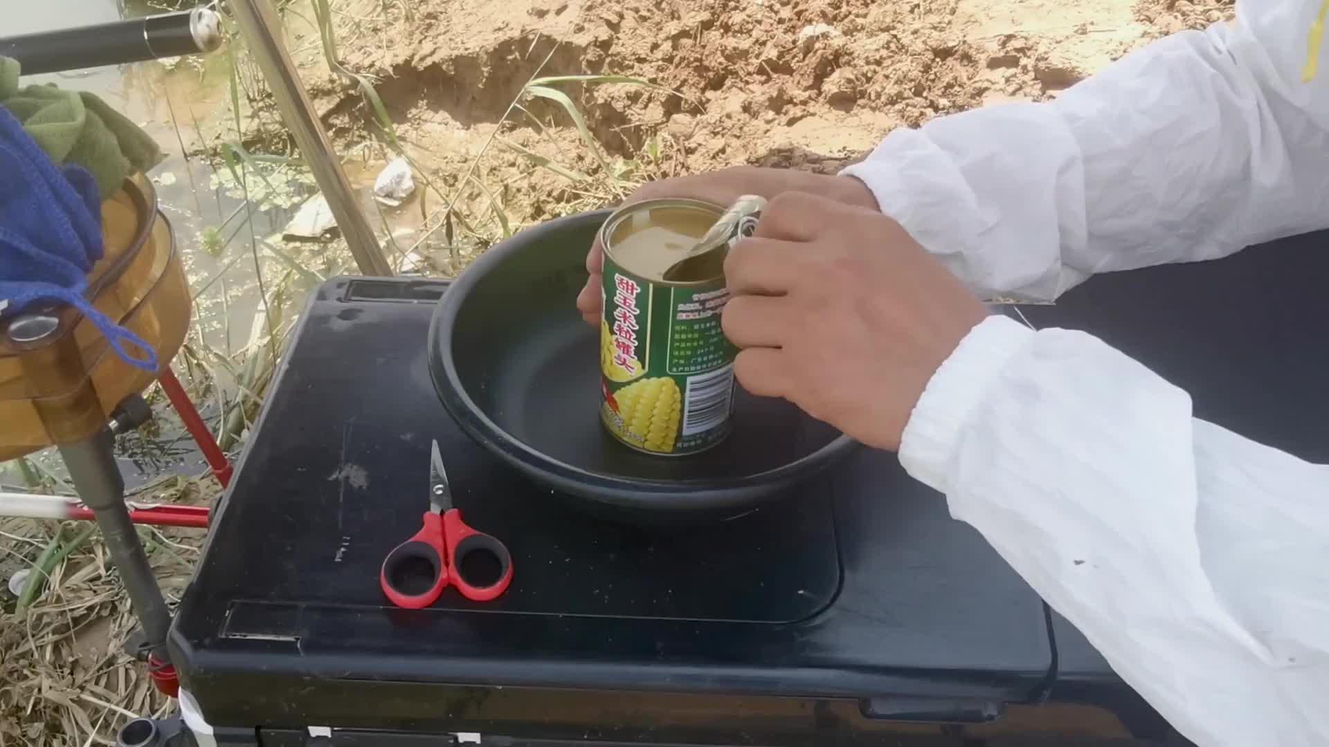 听闻玉米罐头钓鱼打窝很好用真有那么厉害吗水下1小时测评