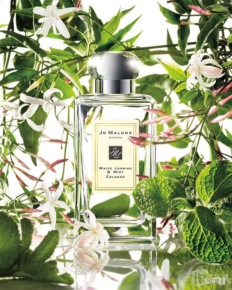 有没有一种薄荷味香水? - 知乎