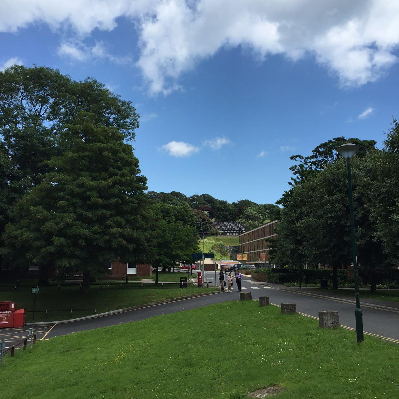 在萨塞克斯大学(university of sussex)就读是怎么样的一番体验?