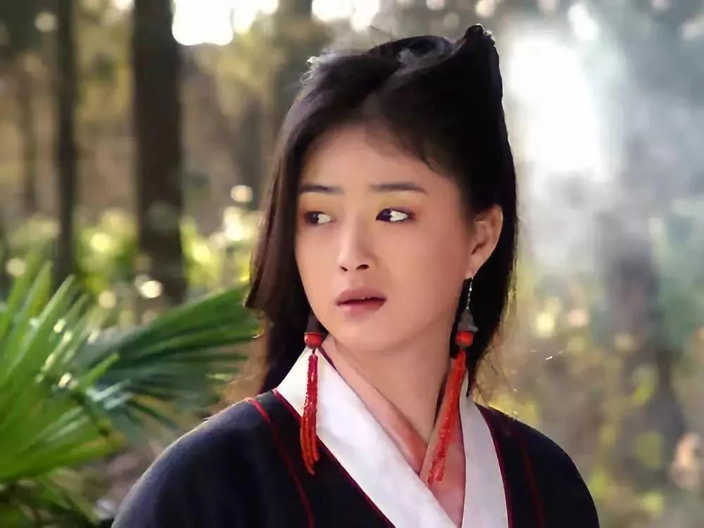 武侠小说 金庸 天龙八部(书籍) 金庸小说 王语嫣 木婉清和钟灵很美