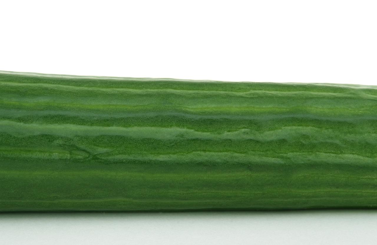 5. 萍婆果热量对比