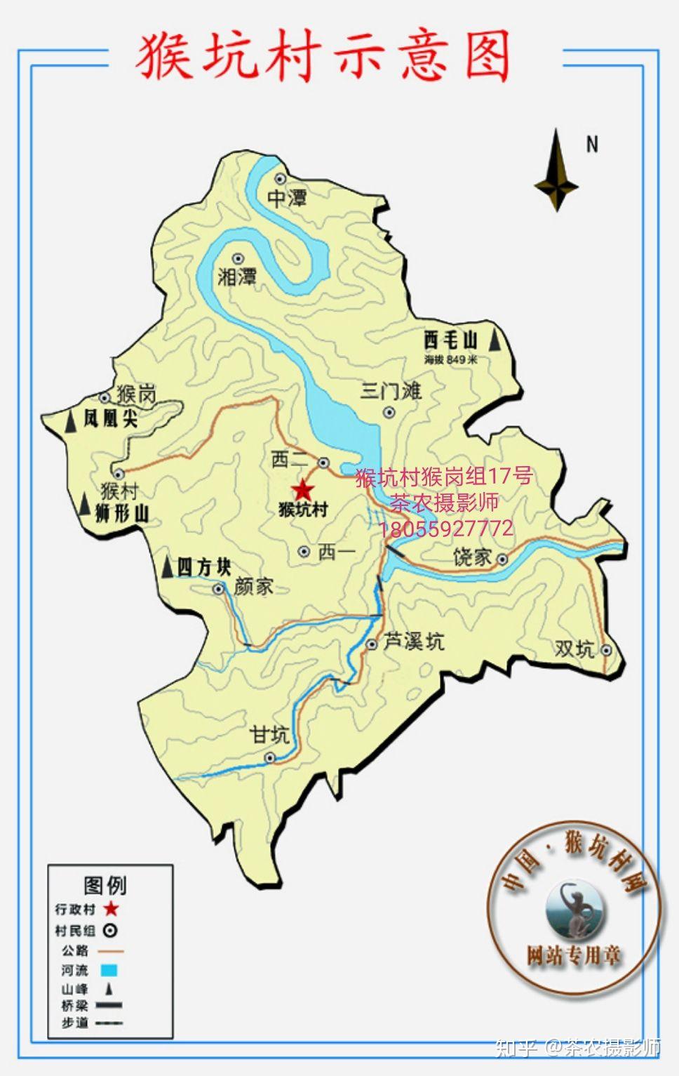 怎样才能买到正宗的太平猴魁? - 知乎