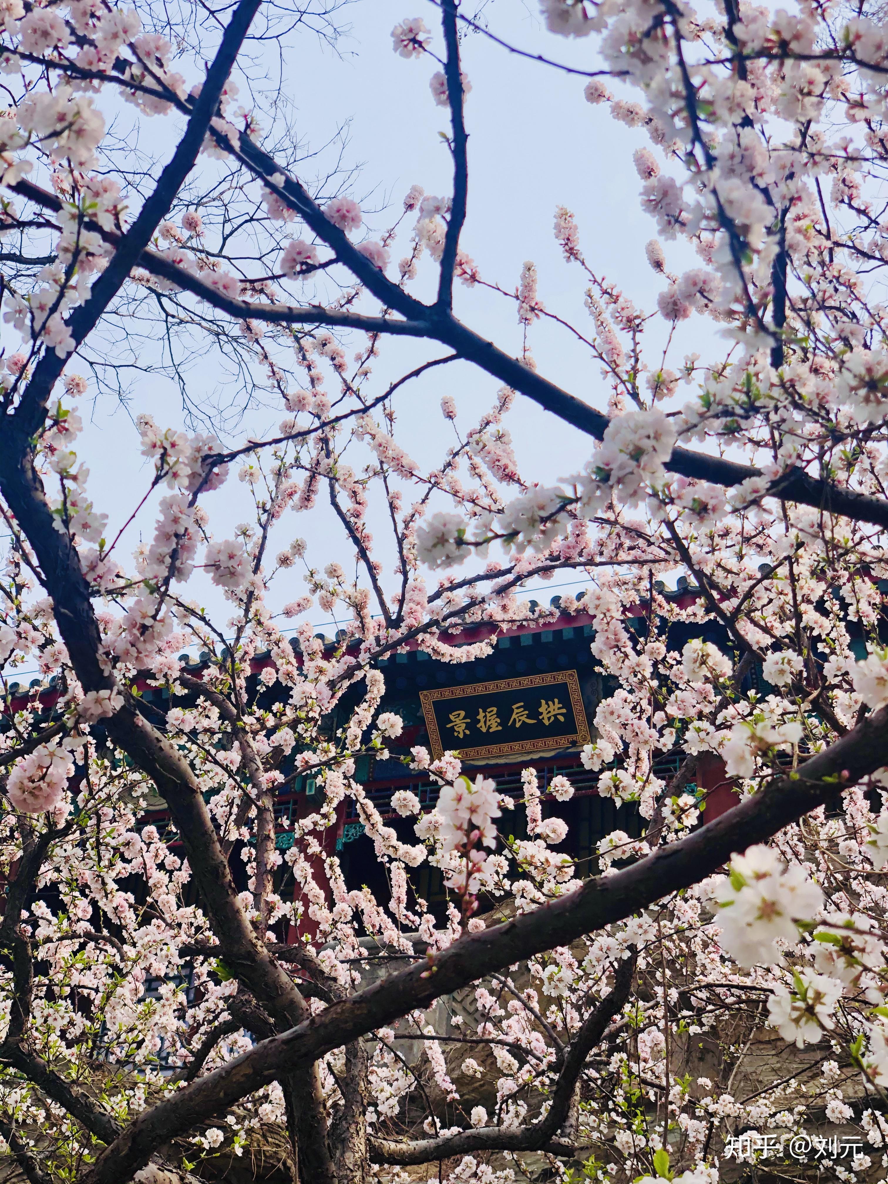 去颐和园有哪些实用攻略和好的建议?-去颐和园玩需要多长时间