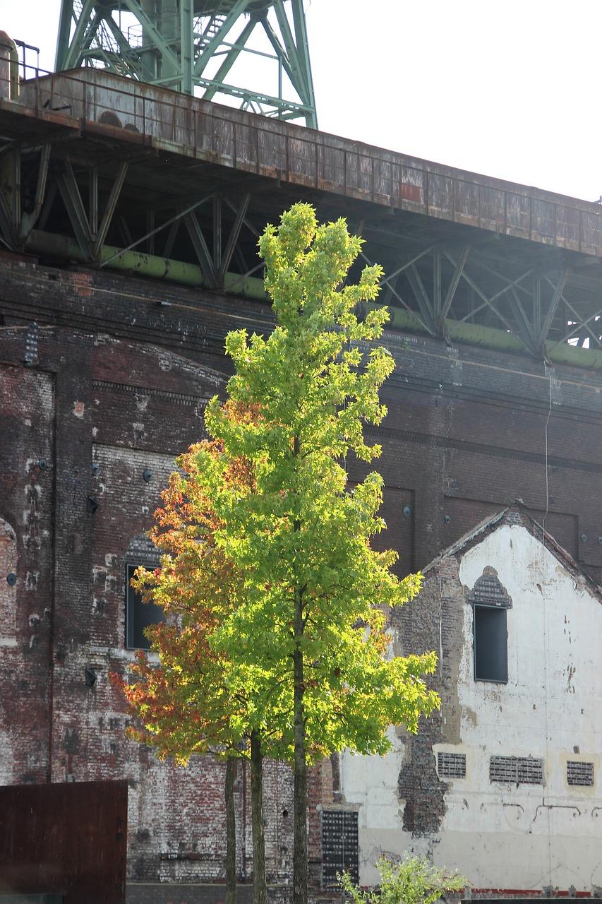 宅基地房产更名流程