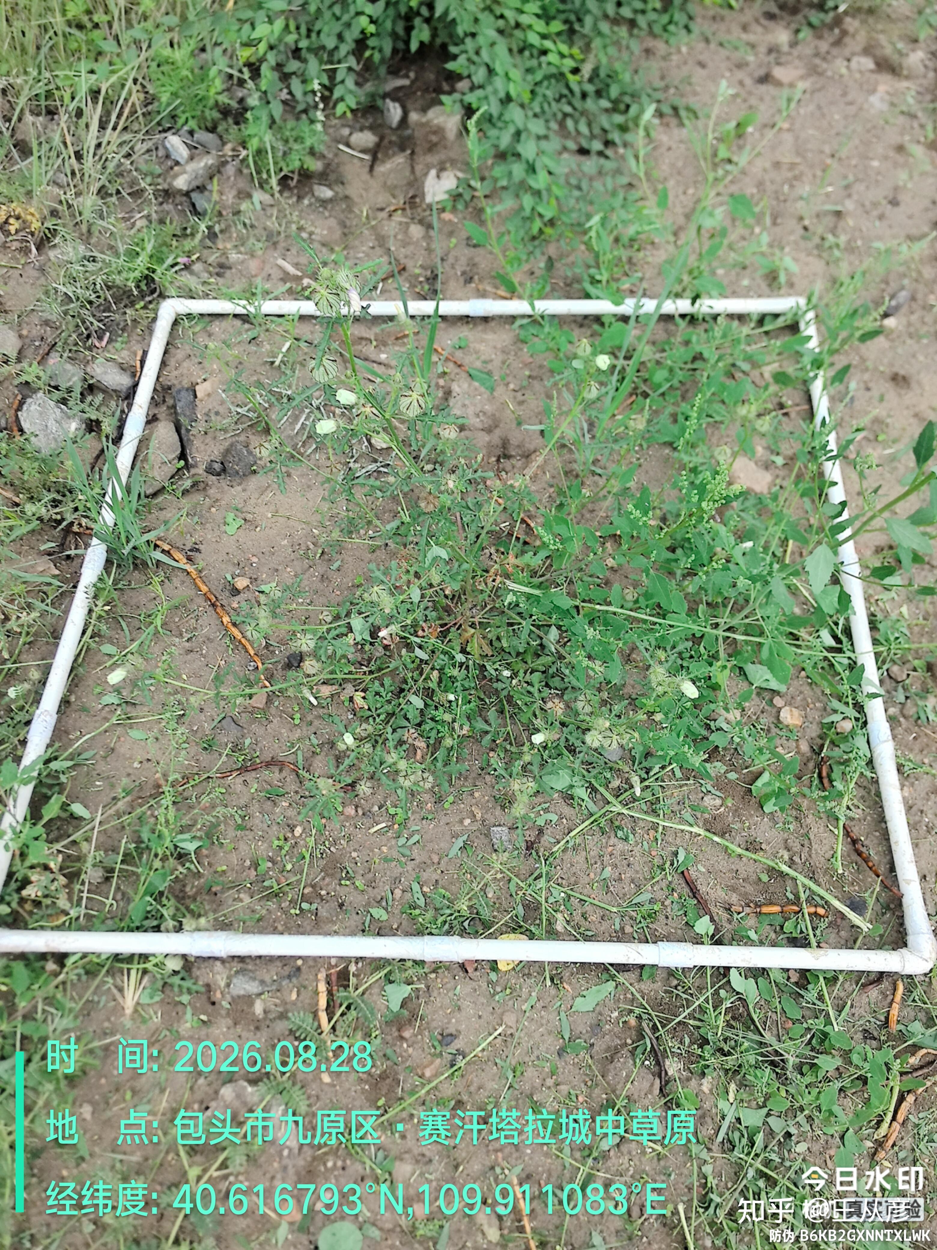 - computer science - notes - teachmint Images High... 裂东岳而胙土 诛茅宋玉之宅 穿径临江之府 水木交运 山川崩竭 家有直道 人多全节-----------包头的入侵植物野西瓜苗 - 知乎