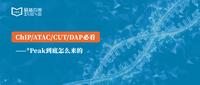 ChIP/ATAC/CUT/DAP必看——*Peak到底怎么来的 - 知乎
